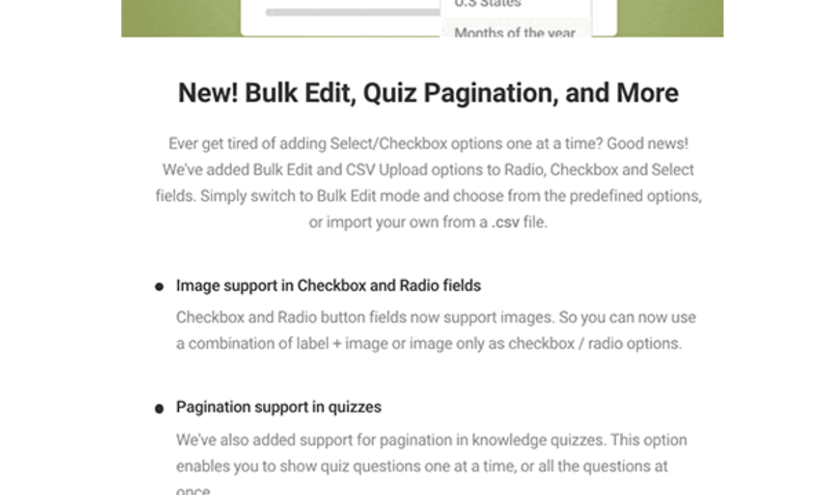 Forminator’s New Pagination for Quizzes (and extra!)