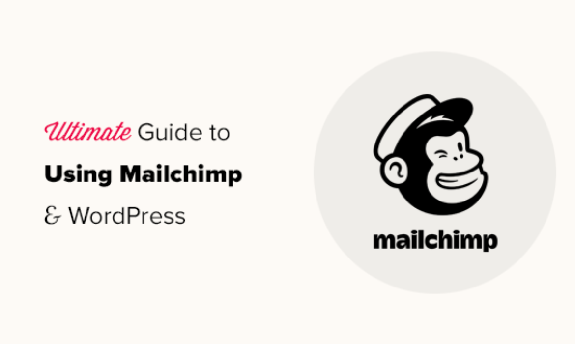 Final Information to Utilizing Mailchimp and WordPress (2021)