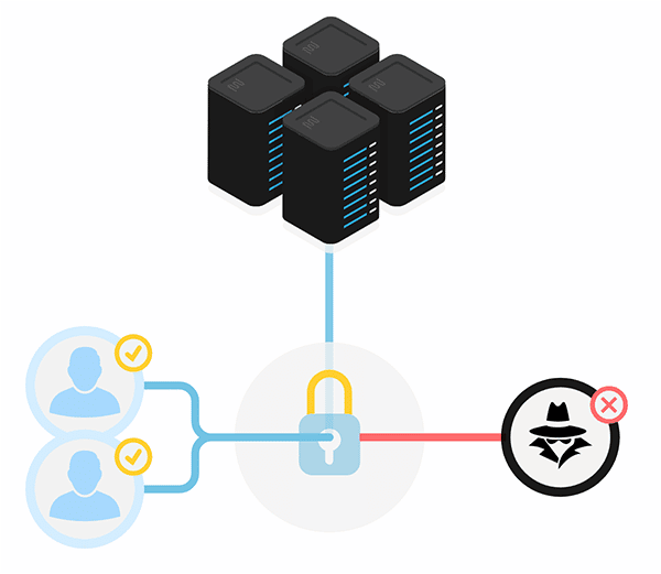 All the things You Have to Know About Net Software Firewalls (WAFs)