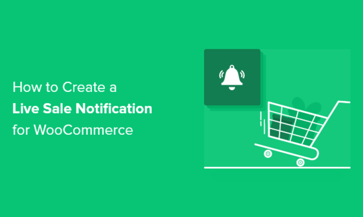 How one can Create a Reside Sale Notification for WooCommerce