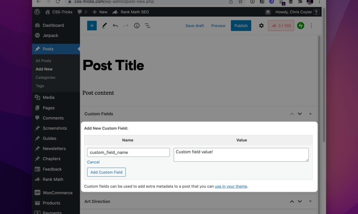 Find out how to Use Native Customized Fields in WordPress (and 5 Helpful Examples)