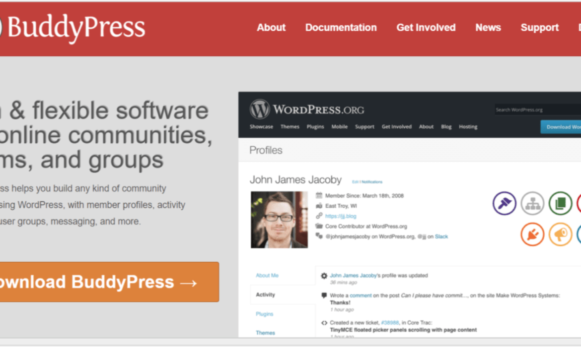 The Full Information to BuddyPress for WordPress