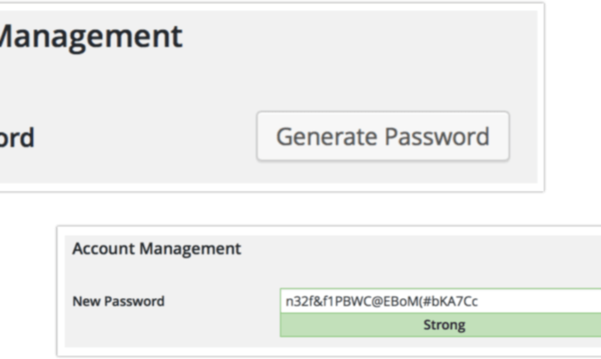 A Full Information to Password Safety in WordPress