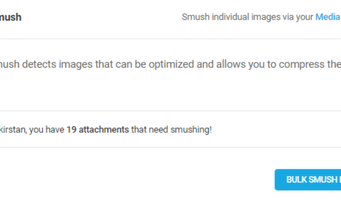 How To Bulk Optimize Photos With Smush…for Free!