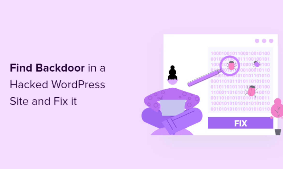 Methods to Discover a Backdoor in a Hacked WordPress Web site and Repair It