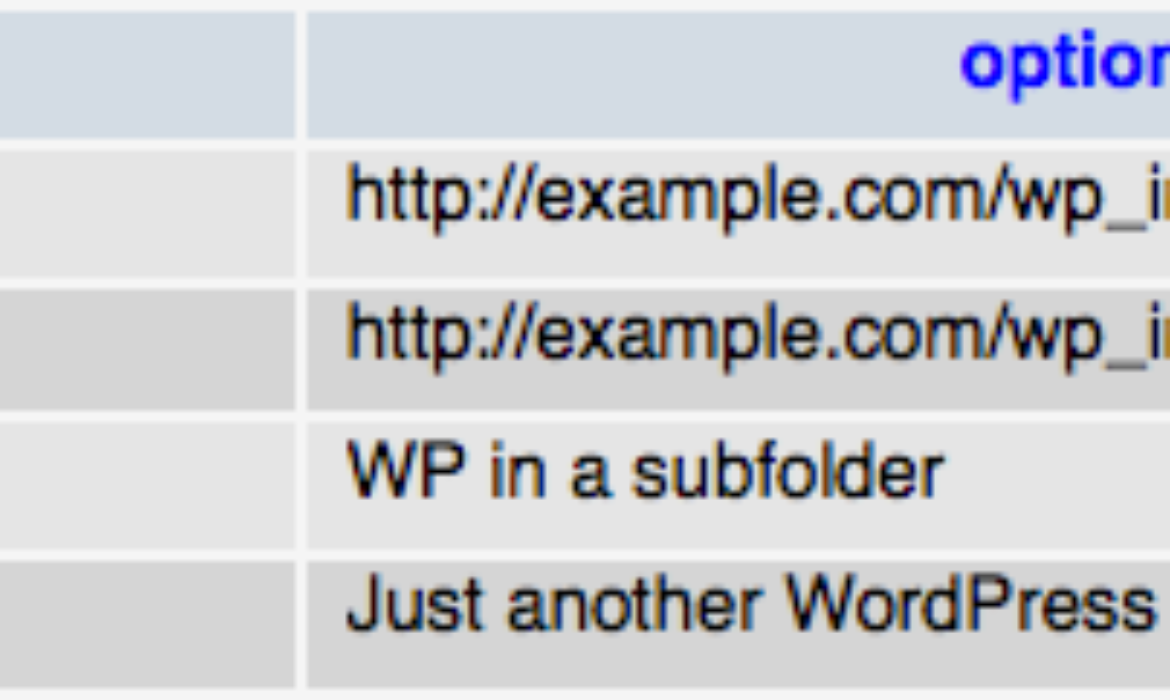 When and The best way to Set up WordPress in a Subdirectory
