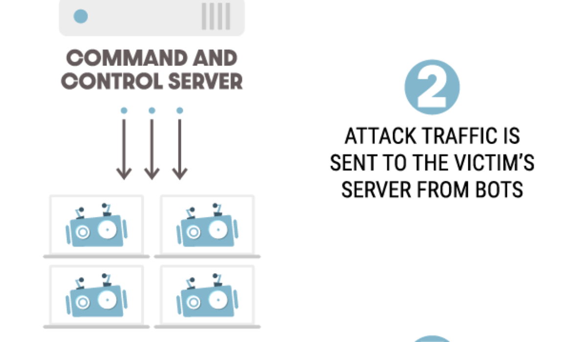 DDoS Safety Information – How you can Assist Shield Your WordPress Website From Assaults