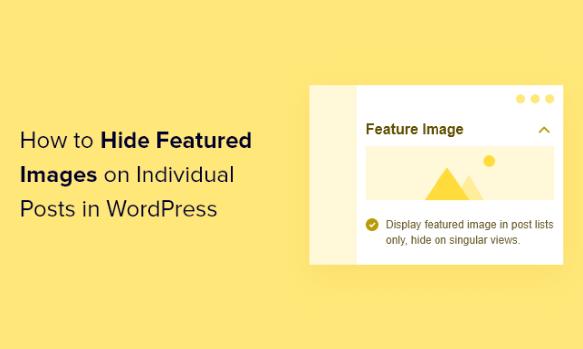 The right way to Conceal Featured Photographs on Particular person Posts in WordPress