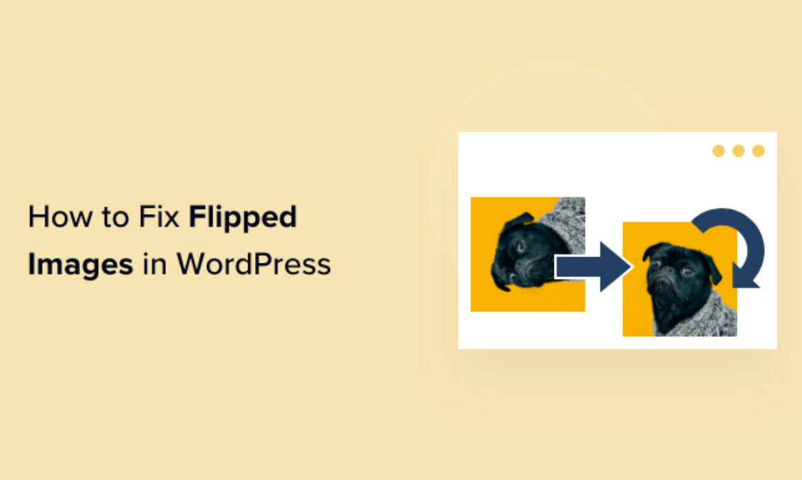 How you can Repair Upside Down or Flipped Photos in WordPress