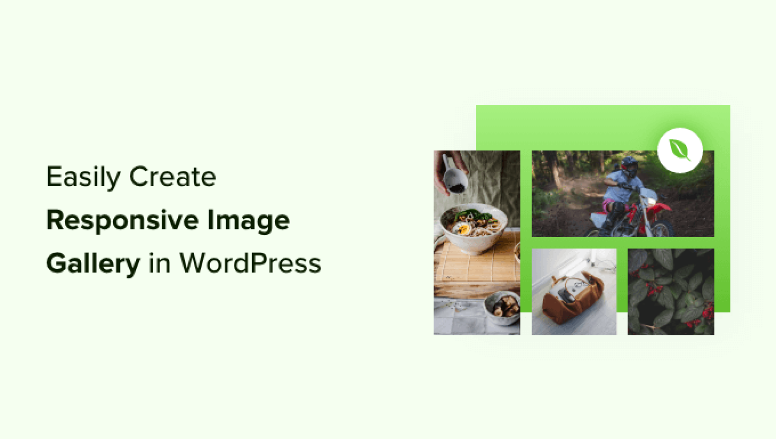 Learn how to Simply Create Responsive WordPress Picture Galleries with Envira