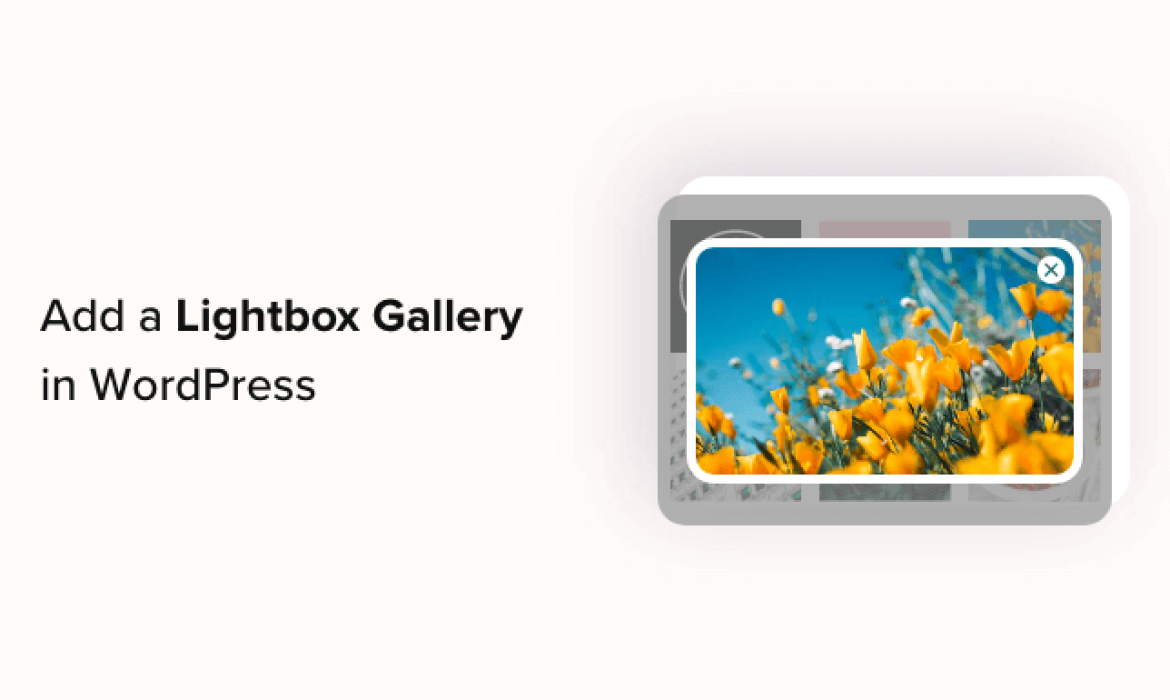 Learn how to Add a Gallery in WordPress with a Lightbox Impact