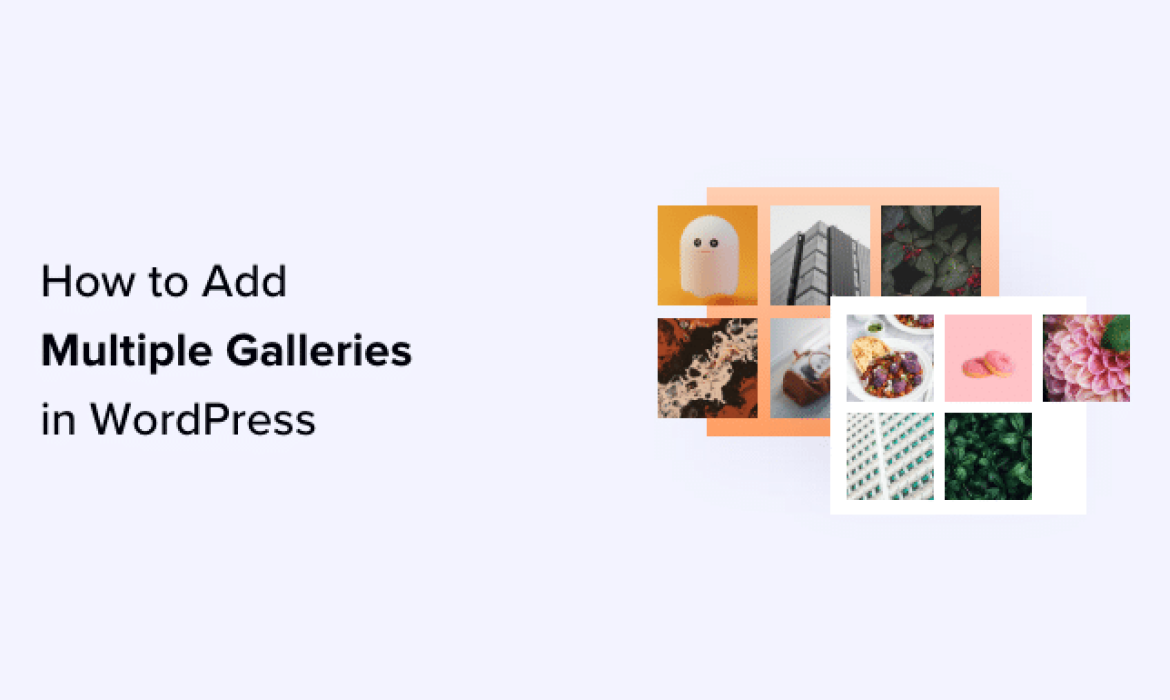 Learn how to Add A number of Galleries in WordPress Posts and Pages