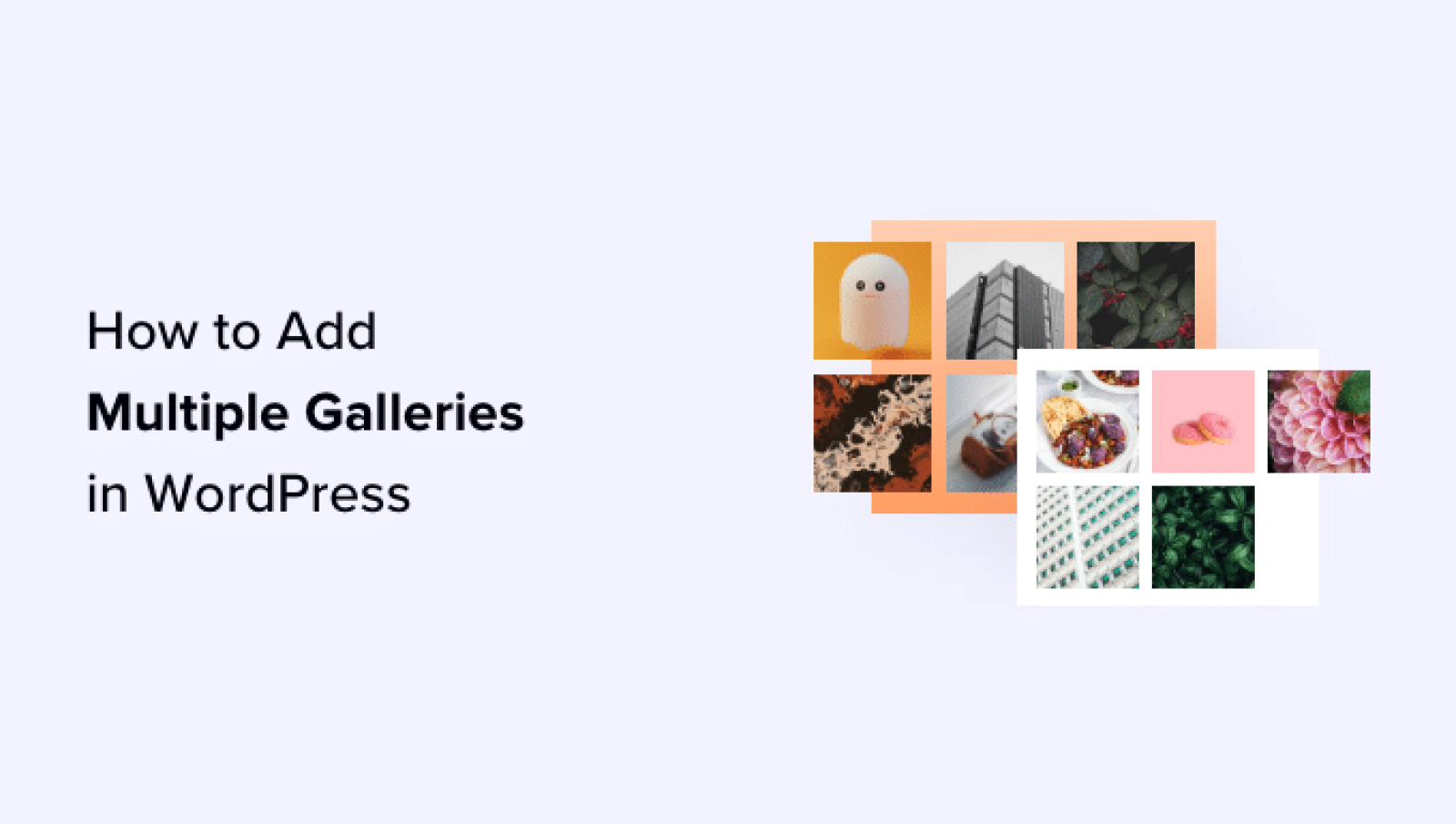 Learn how to Add A number of Galleries in WordPress Posts and Pages