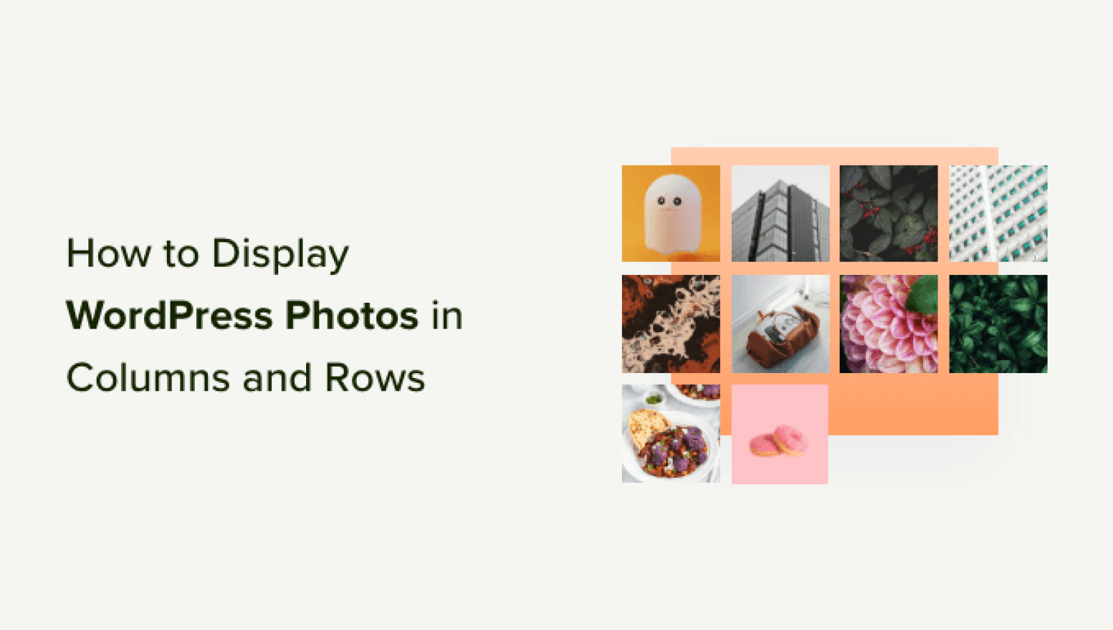 Methods to Show WordPress Photographs in Columns and Rows