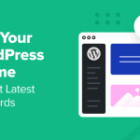 Methods to Take a look at Your WordPress Theme In opposition to Newest Requirements