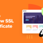 Easy methods to Renew SSL Certificates (Step by Step for Learners)