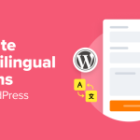 How one can Create Multilingual Kinds in WordPress (2 Strategies)