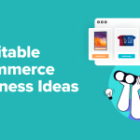 12 Worthwhile Ecommerce Enterprise Concepts for WordPress (Knowledgeable Decide)