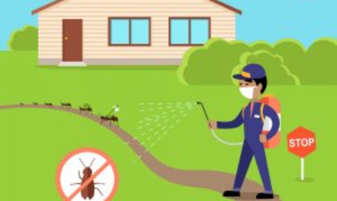 Search Marketing Priorities for Pest Control Companies