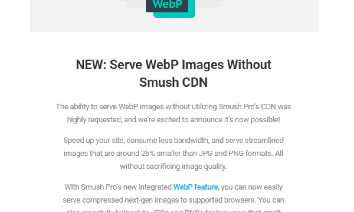 Smush Pro Now Supports Local WebP Conversion (No CDN Required)